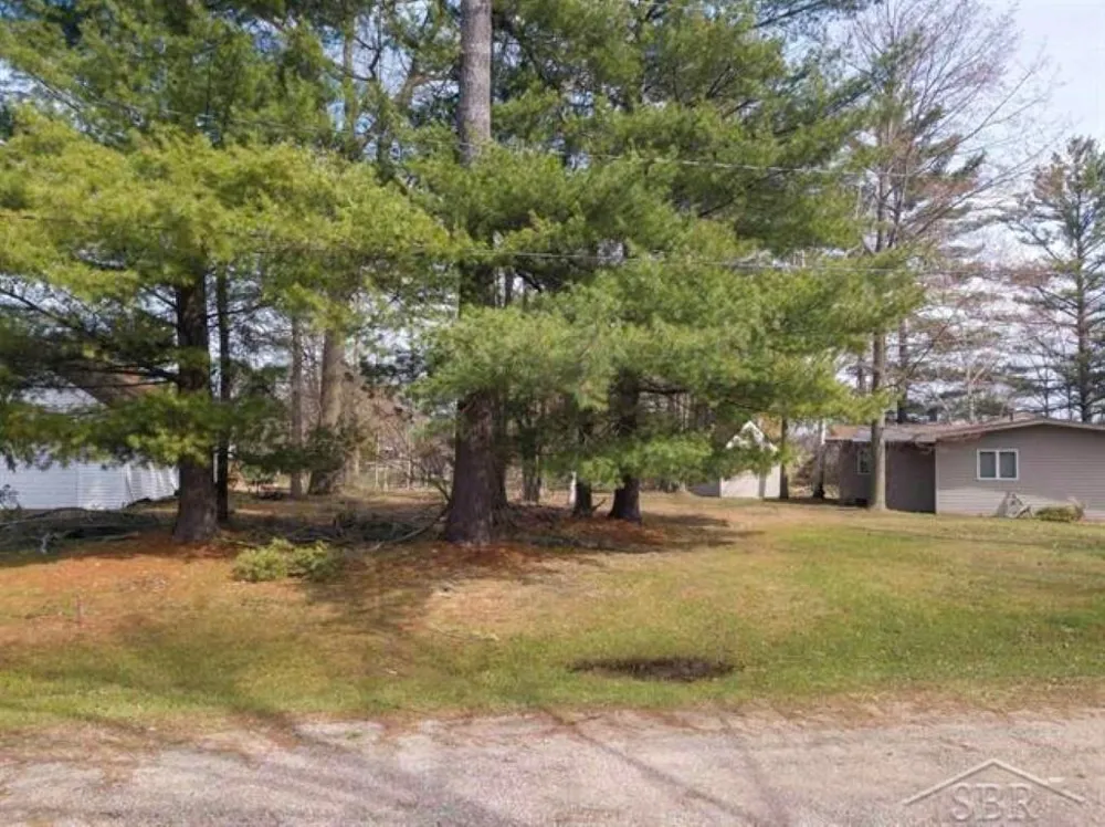 Oswegathie Lane Hope Township, MI 48626