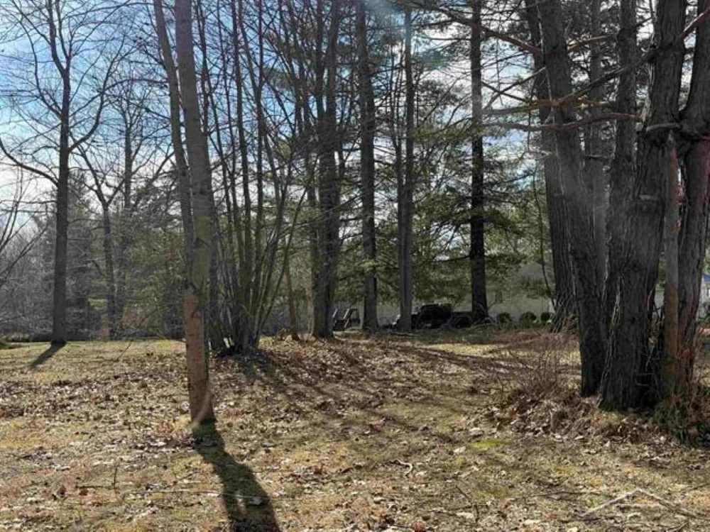 Oswegathie Lane Hope Township, MI 48626