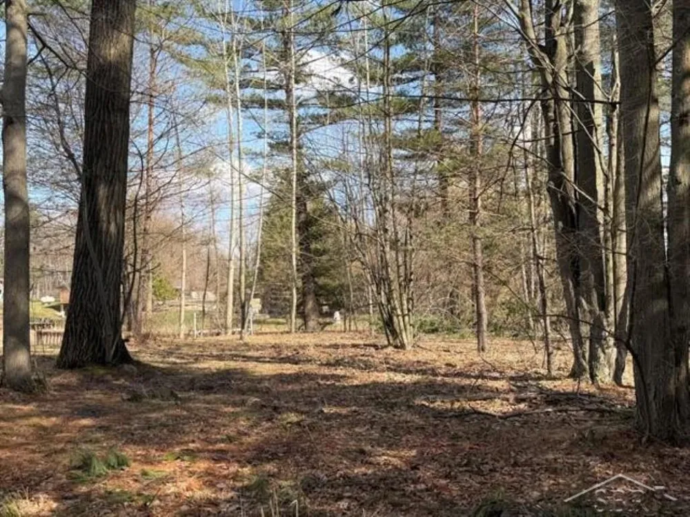 Oswegathie Lane Hope Township, MI 48626