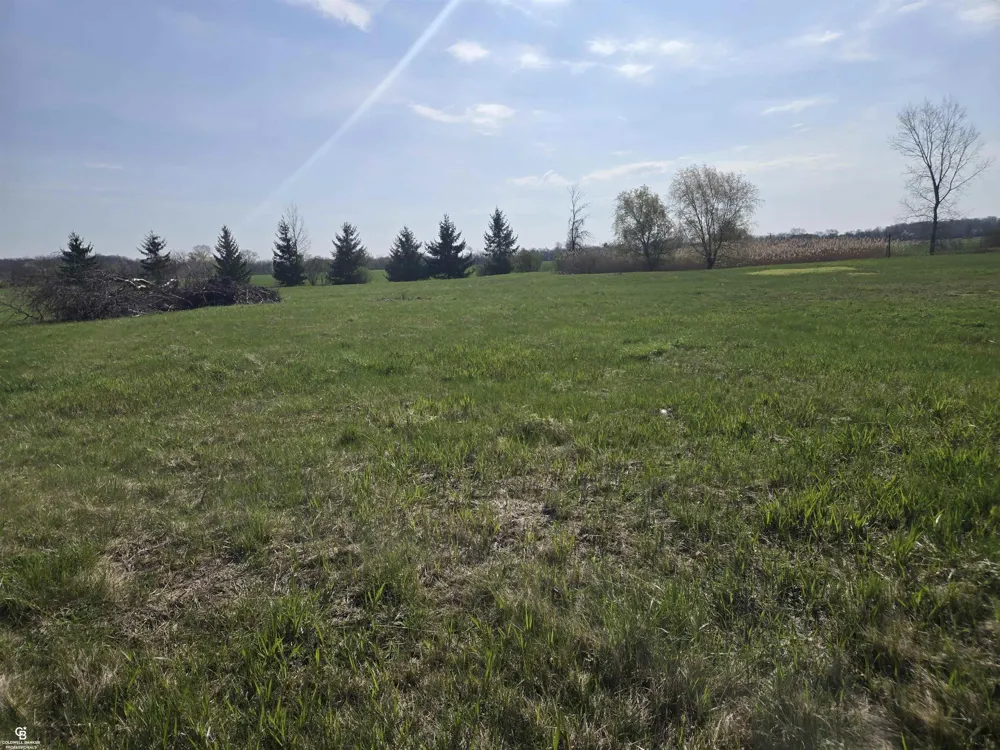 Brockway VL Road Brockway Township, MI 48097