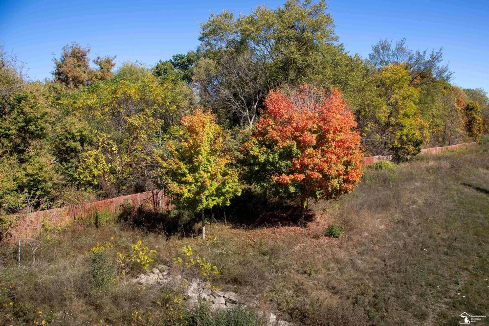 52881 Rico Court Lyon Charter Township, MI 48393