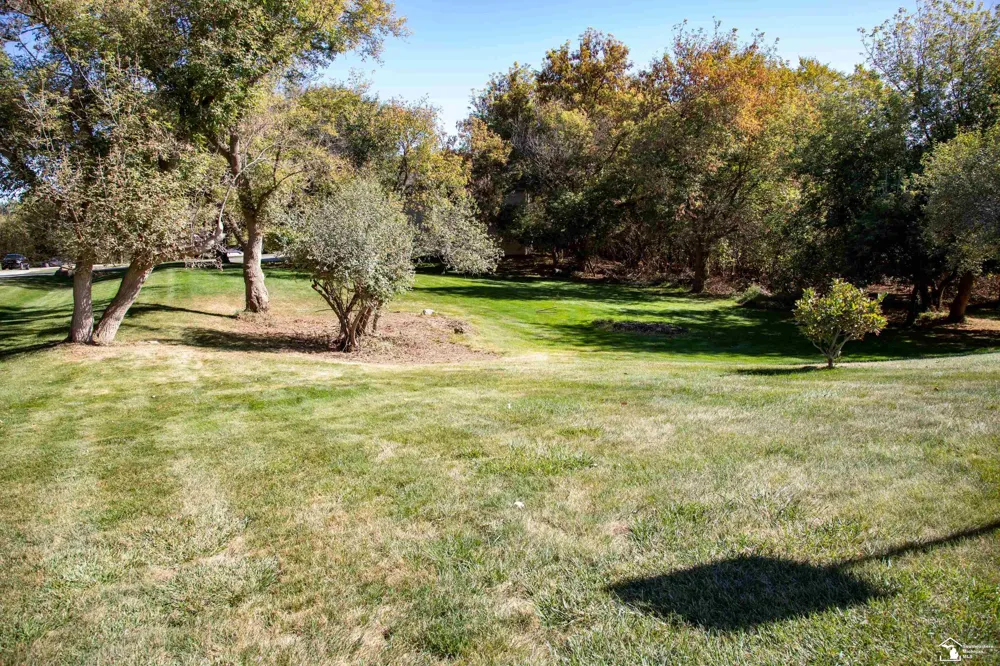 52881 Rico Court Lyon Charter Township, MI 48393