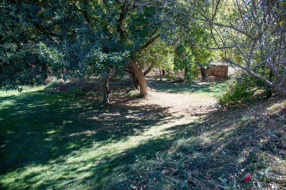 52881 Rico Court Lyon Charter Township, MI 48393