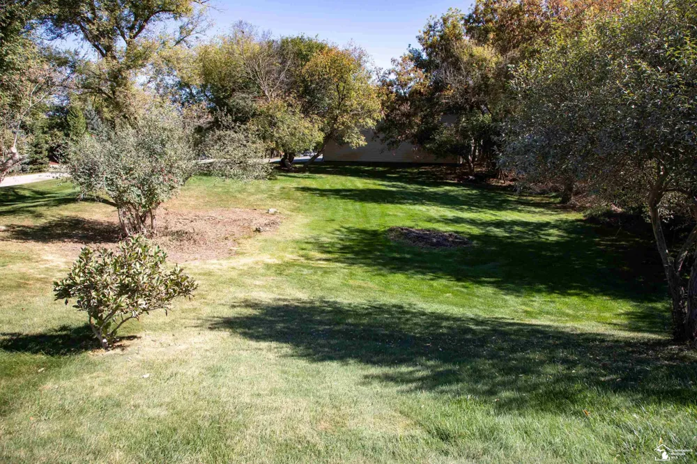 52881 Rico Court Lyon Charter Township, MI 48393