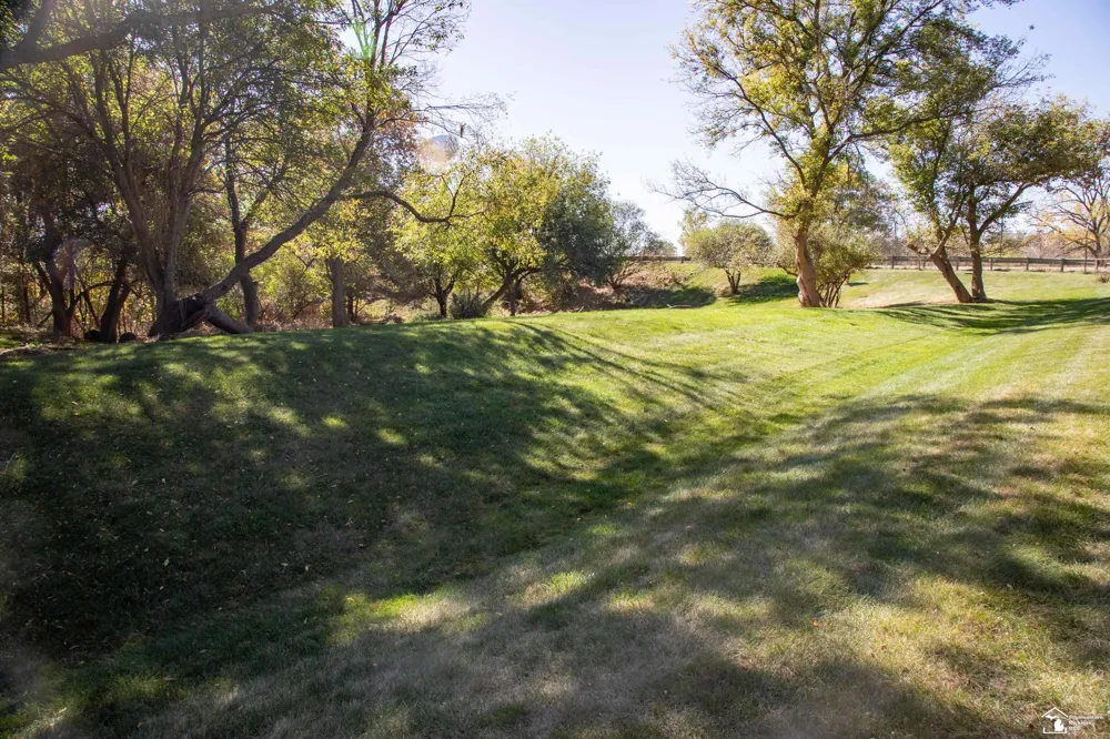 52881 Rico Court Lyon Charter Township, MI 48393