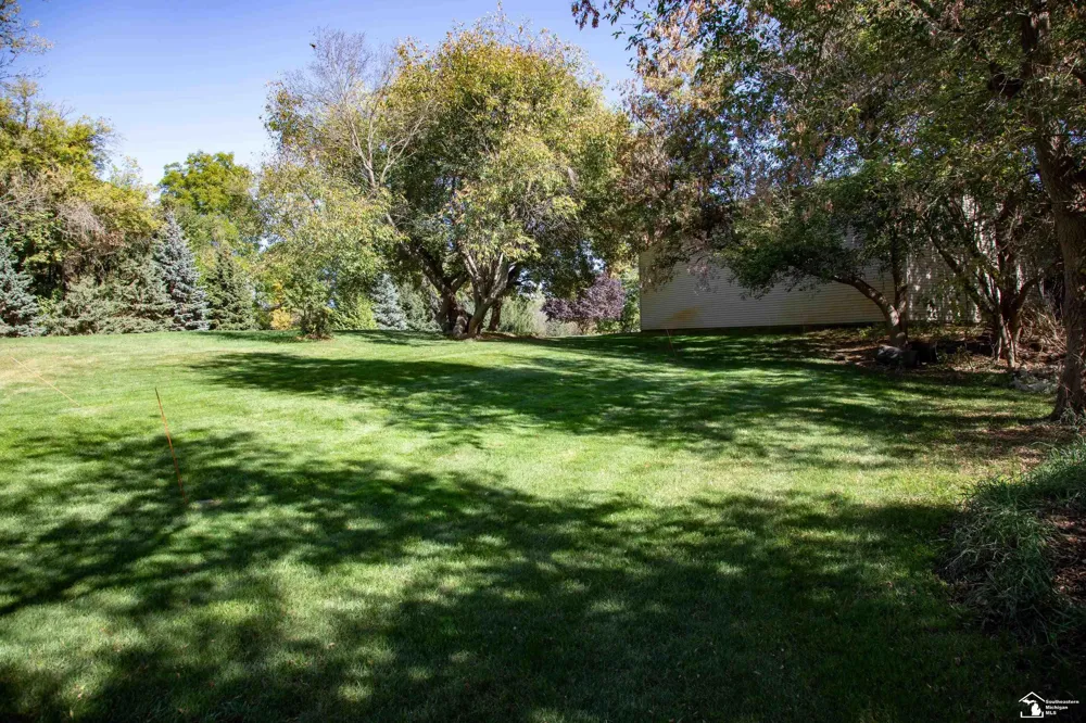 52881 Rico Court Lyon Charter Township, MI 48393