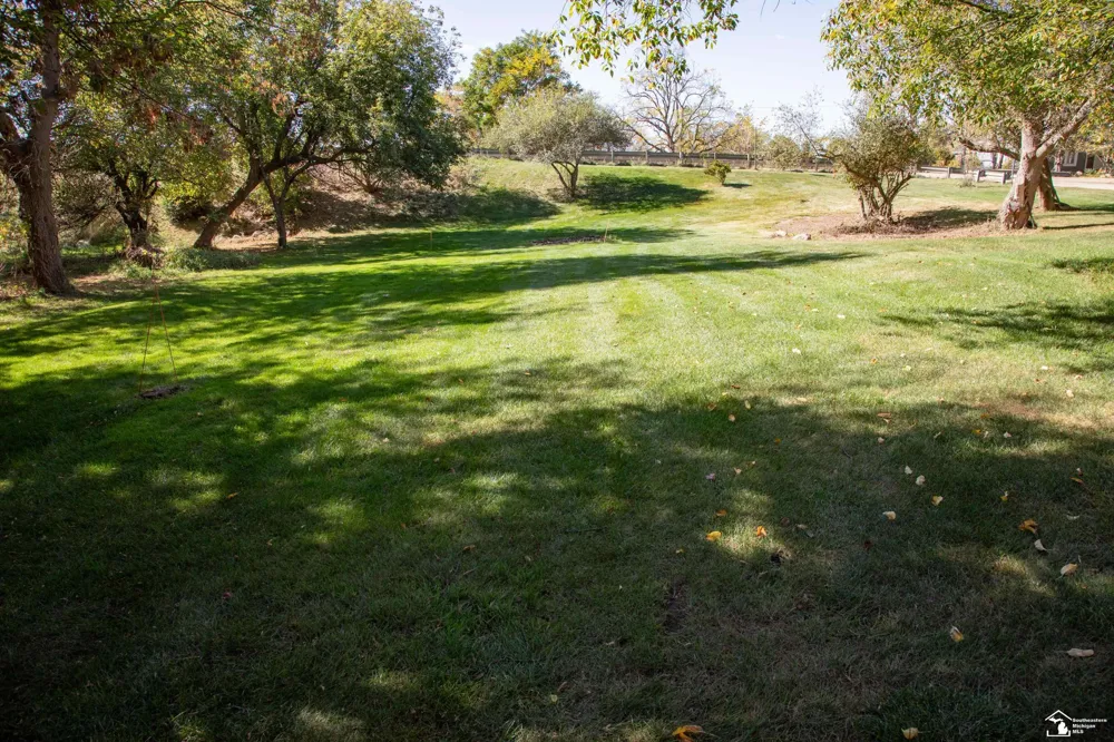 52881 Rico Court Lyon Charter Township, MI 48393