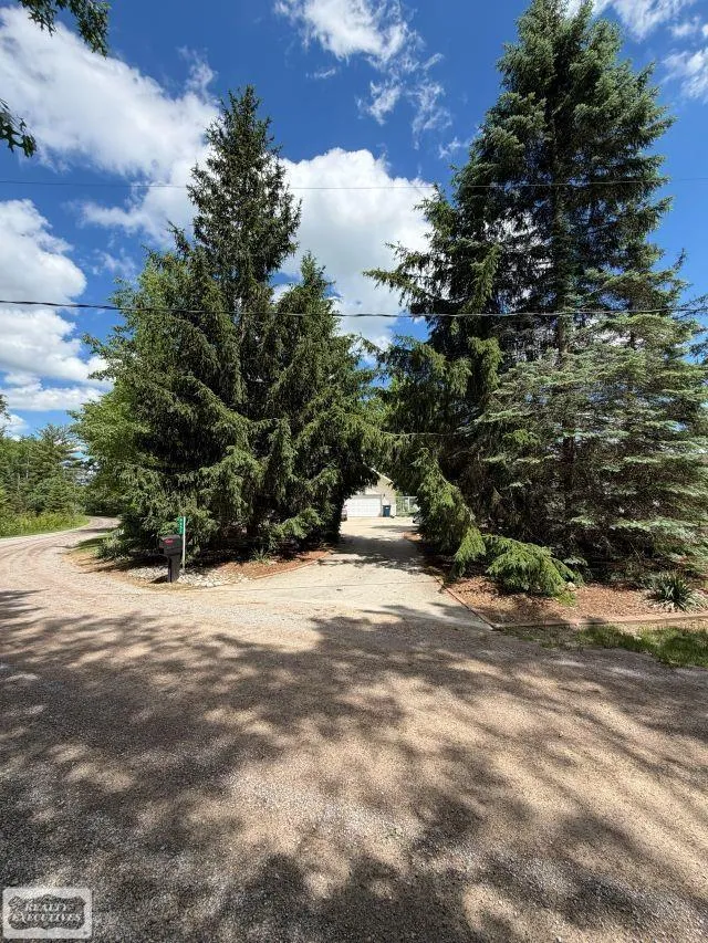 6651 Tamarack Freeman Township, MI 48632