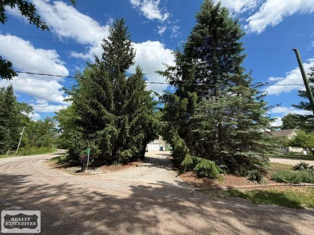 6651 Tamarack Freeman Township, MI 48632