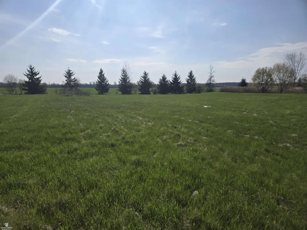 Brockway VL Road Brockway Township, MI 48097