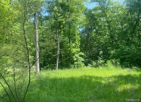 2 Deadwood Lane