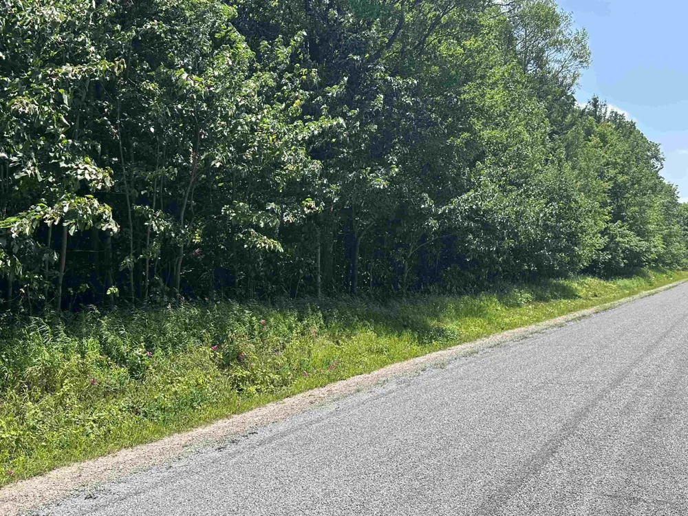 11605 S Tower Kasson Township, MI 49664