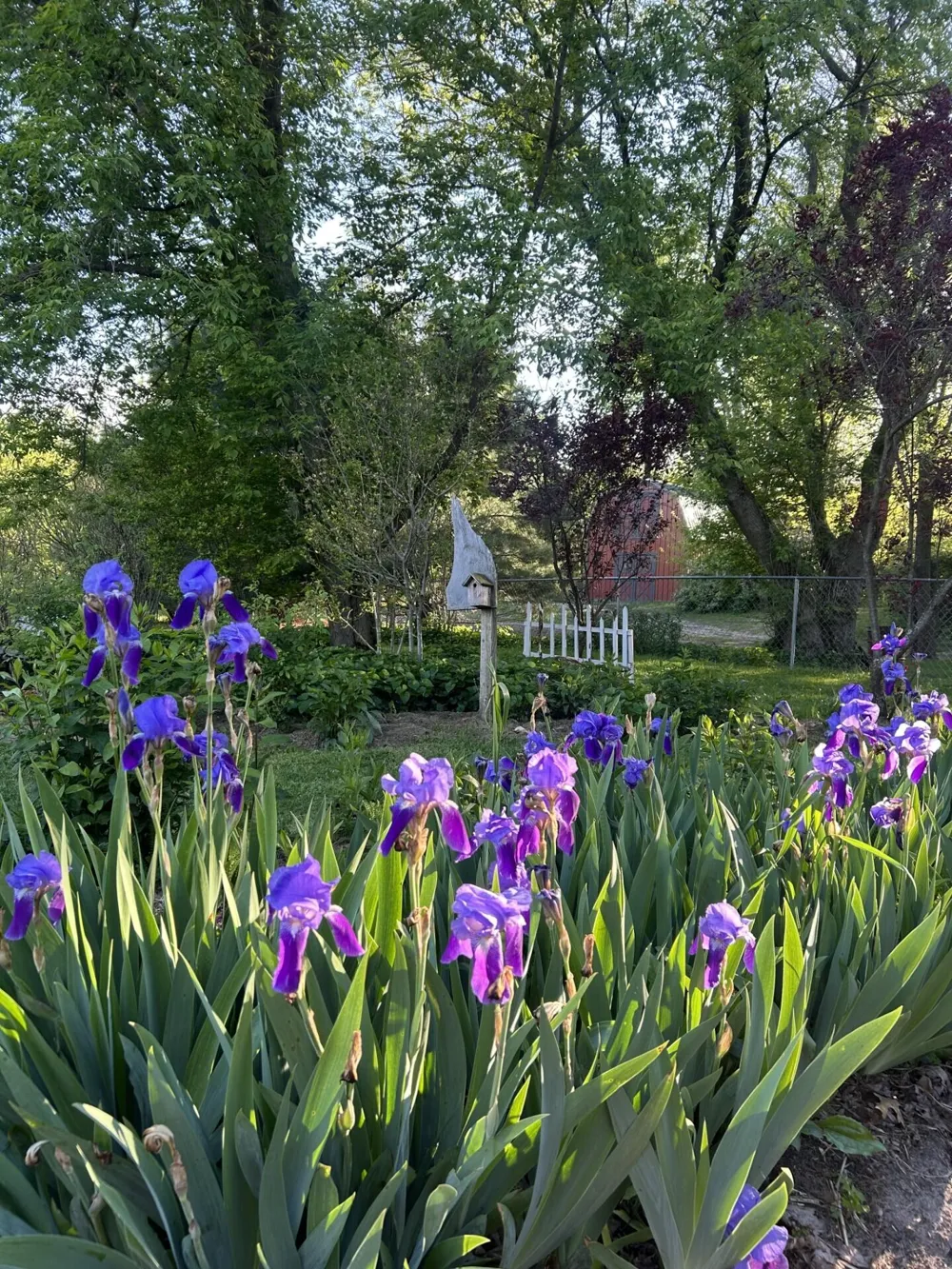 1799 E U.S. 10 Custer Township, MI 49405