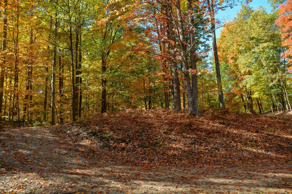 Cross Country Trail East Bay Township, MI 49696
