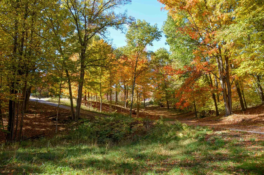 Cross Country Trail East Bay Township, MI 49696