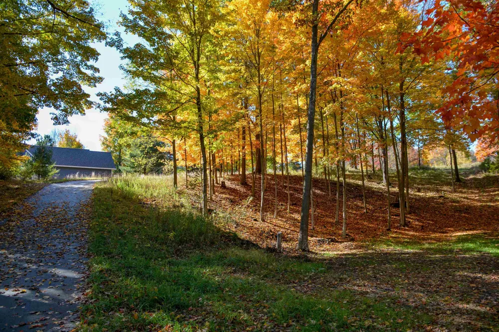 Cross Country Trail East Bay Township, MI 49696
