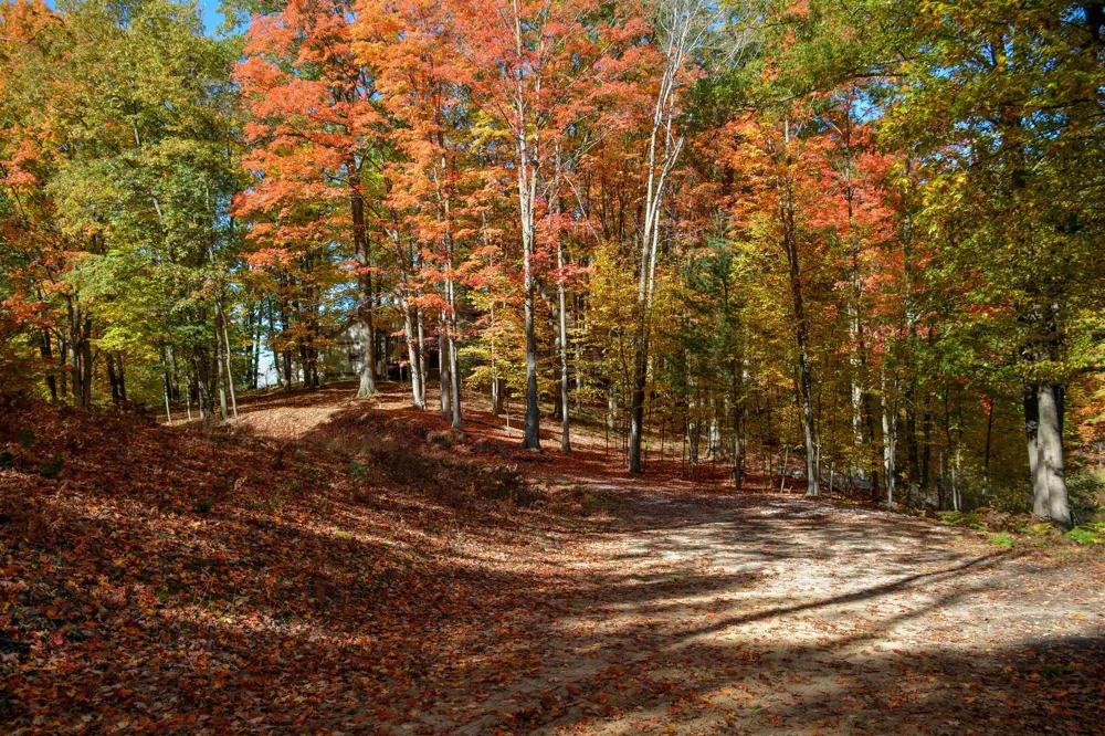 Cross Country Trail East Bay Township, MI 49696