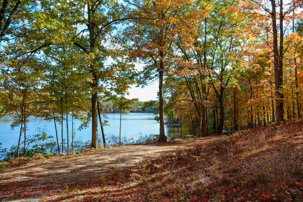 Cross Country Trail East Bay Township, MI 49696