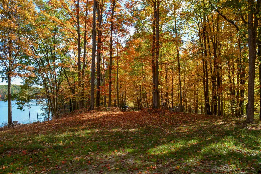 Cross Country Trail East Bay Township, MI 49696