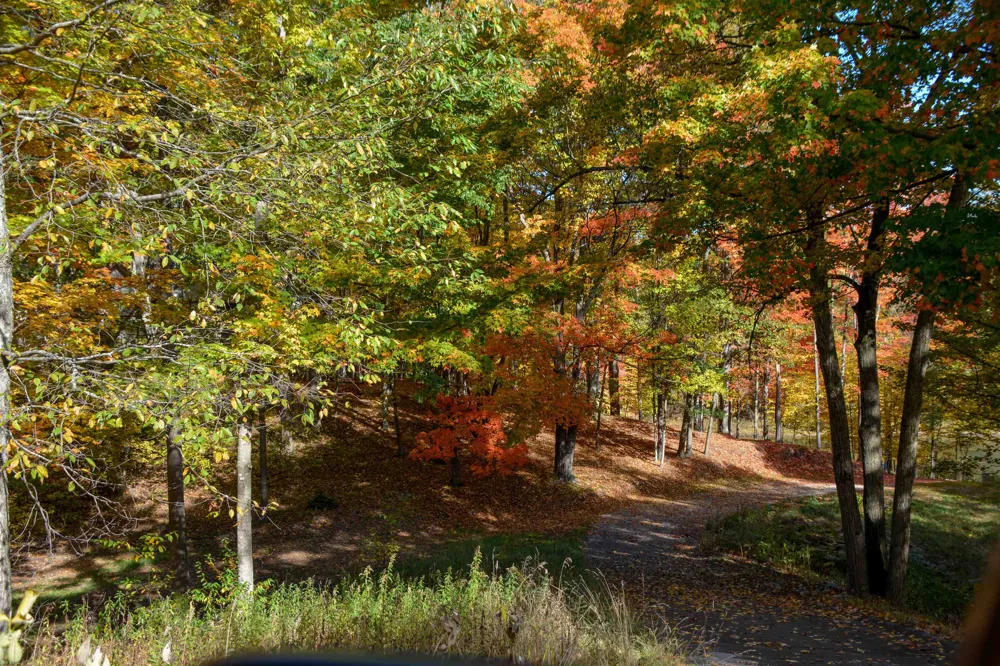 Cross Country Trail East Bay Township, MI 49696