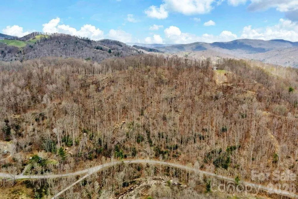 TBD Buckeye Road Elk Park, NC 28622
