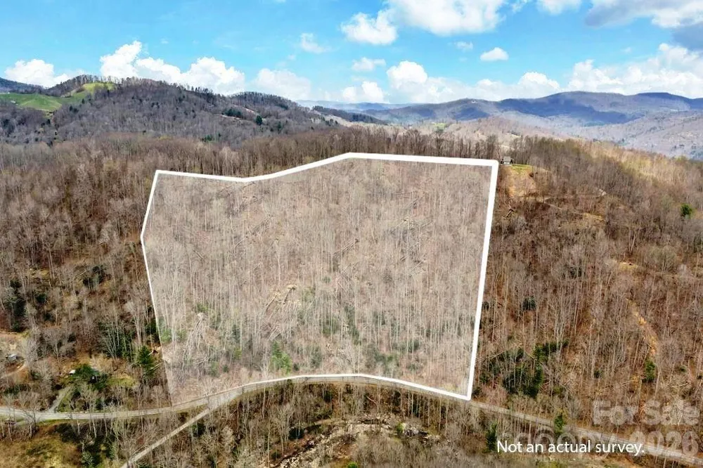 TBD Buckeye Road Elk Park, NC 28622