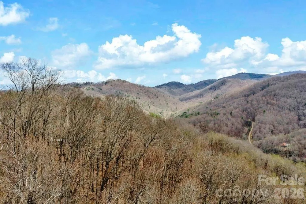 TBD Buckeye Road Elk Park, NC 28622