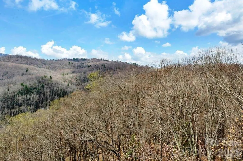 TBD Buckeye Road Elk Park, NC 28622
