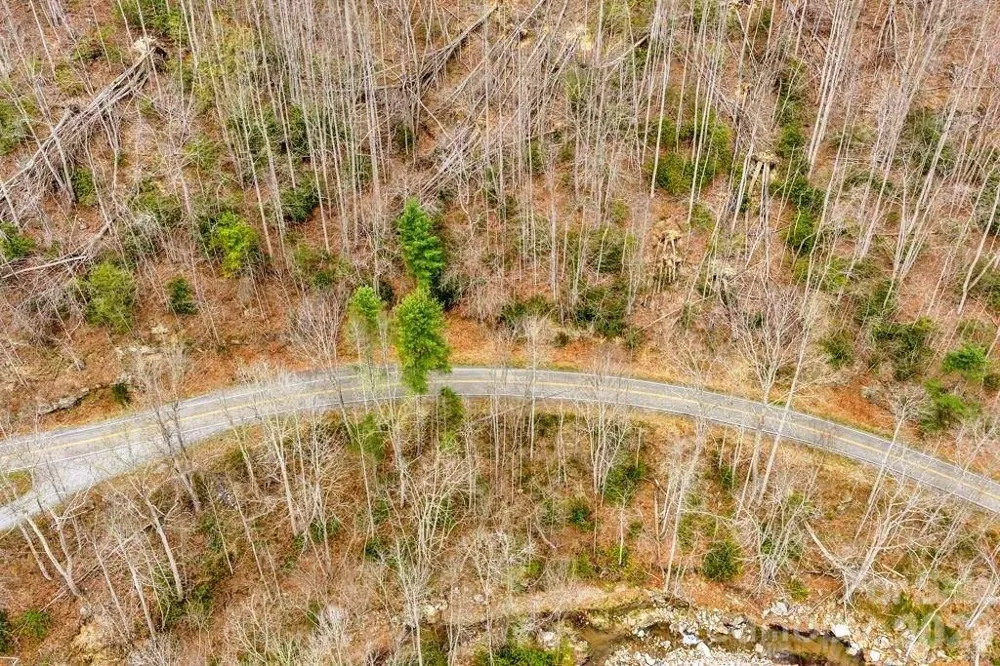 TBD Buckeye Road Elk Park, NC 28622