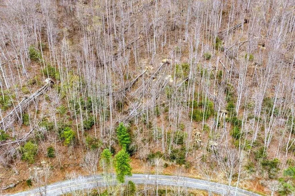 TBD Buckeye Road Elk Park, NC 28622
