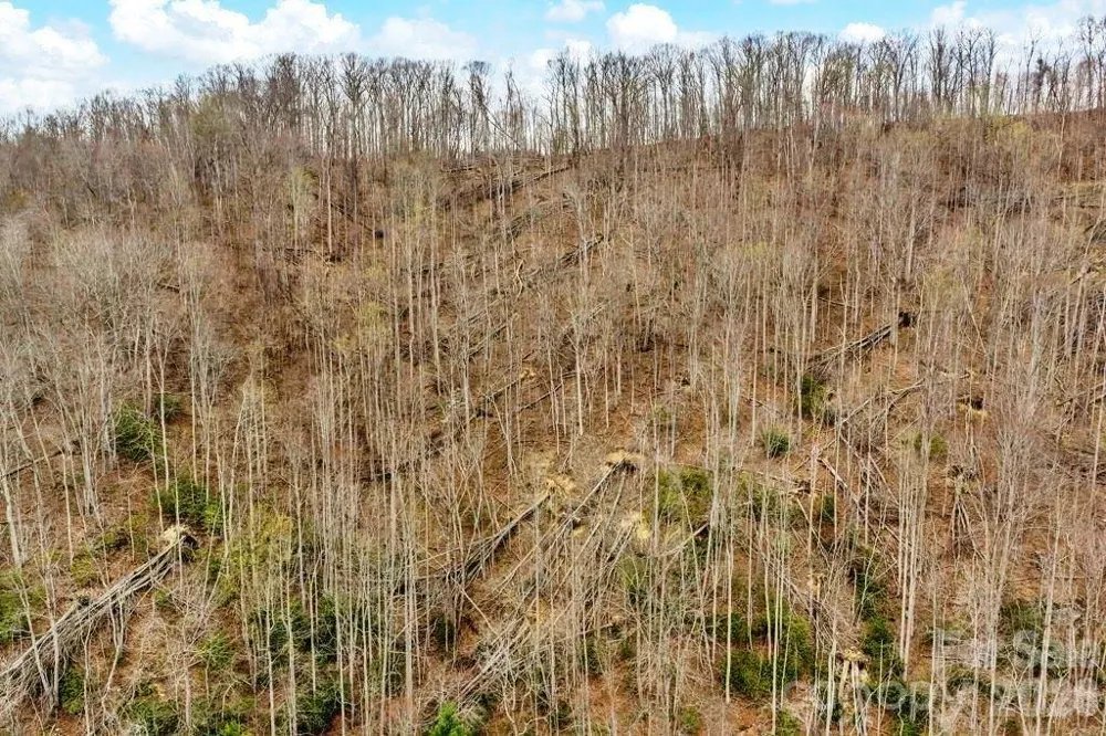 TBD Buckeye Road Elk Park, NC 28622