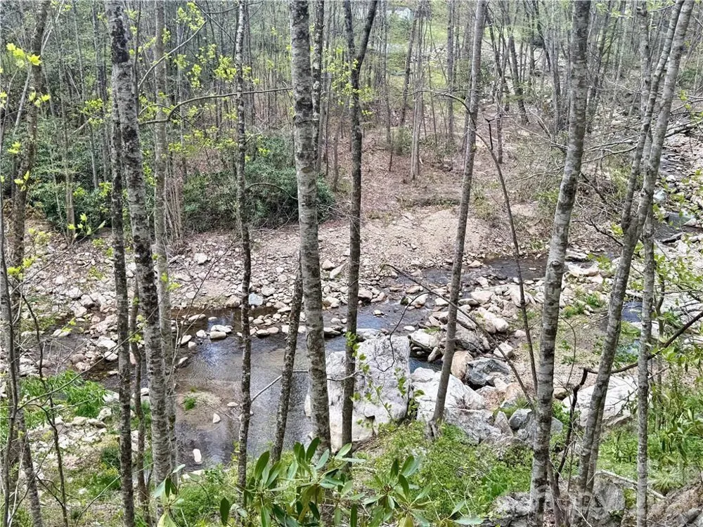 TBD Buckeye Road Elk Park, NC 28622