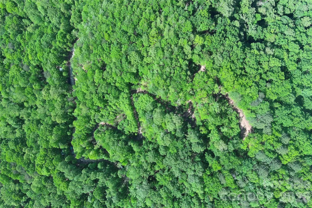 V/L Woodchuck Lane #117 Marion, NC 28752