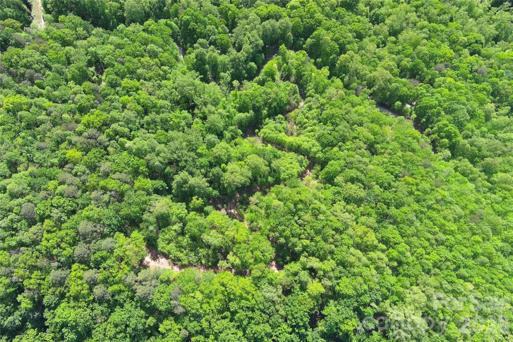 V/L Woodchuck Lane #117 Marion, NC 28752