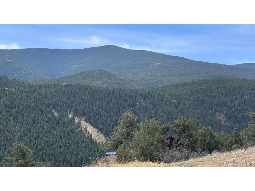 257 Wildlife Trail Idaho Springs, CO 80452
