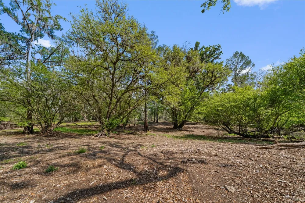 615 NE 904 STREET Old Town, FL 32680