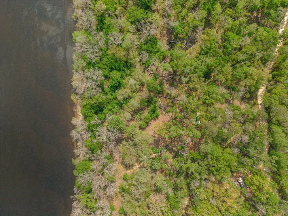 615 NE 904 STREET Old Town, FL 32680