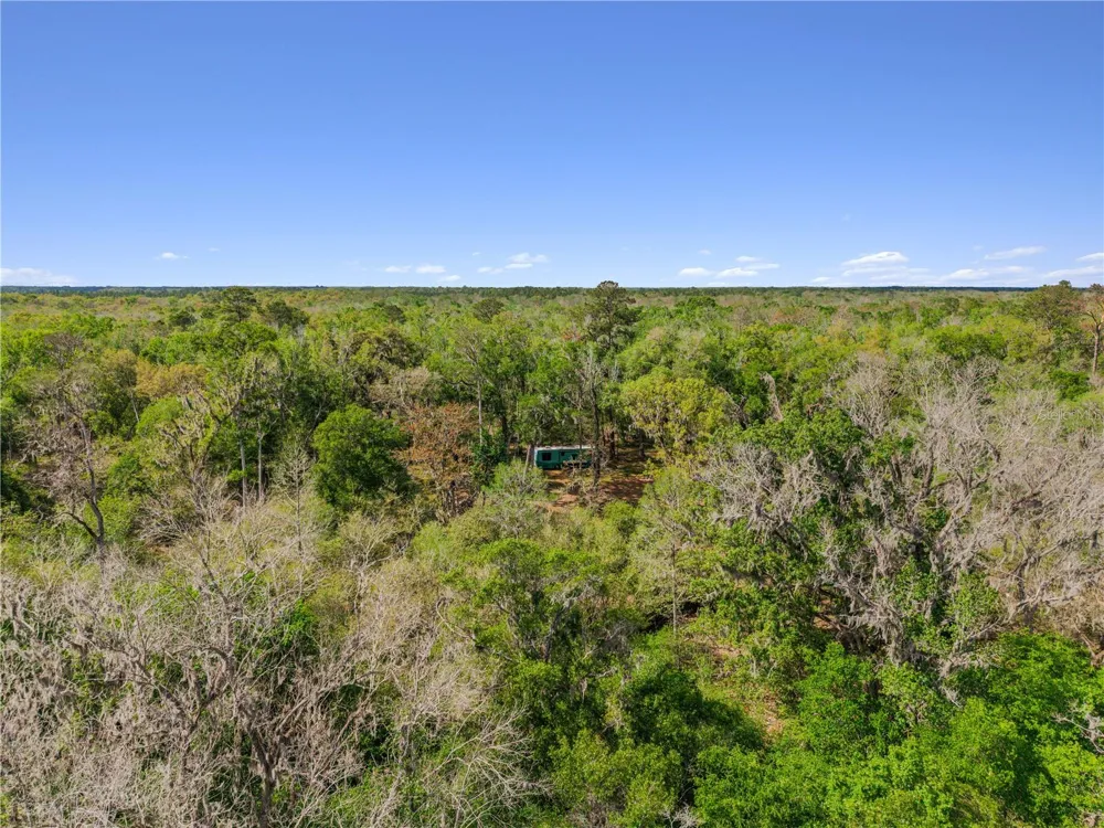 615 NE 904 STREET Old Town, FL 32680