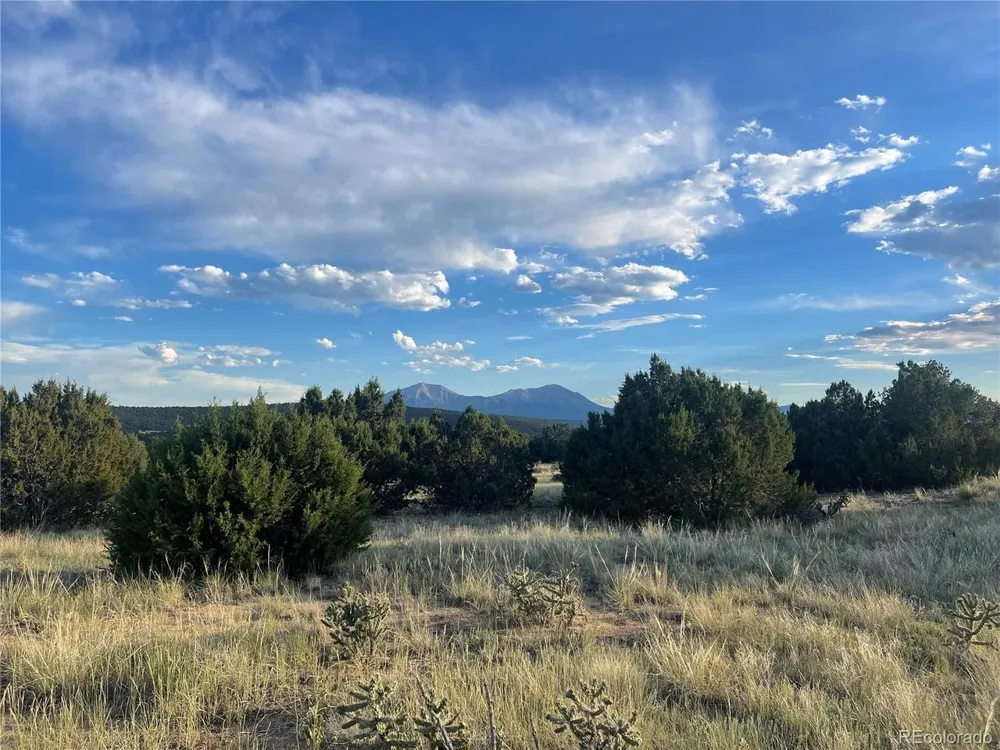 Address Not Shown Walsenburg, CO 81089