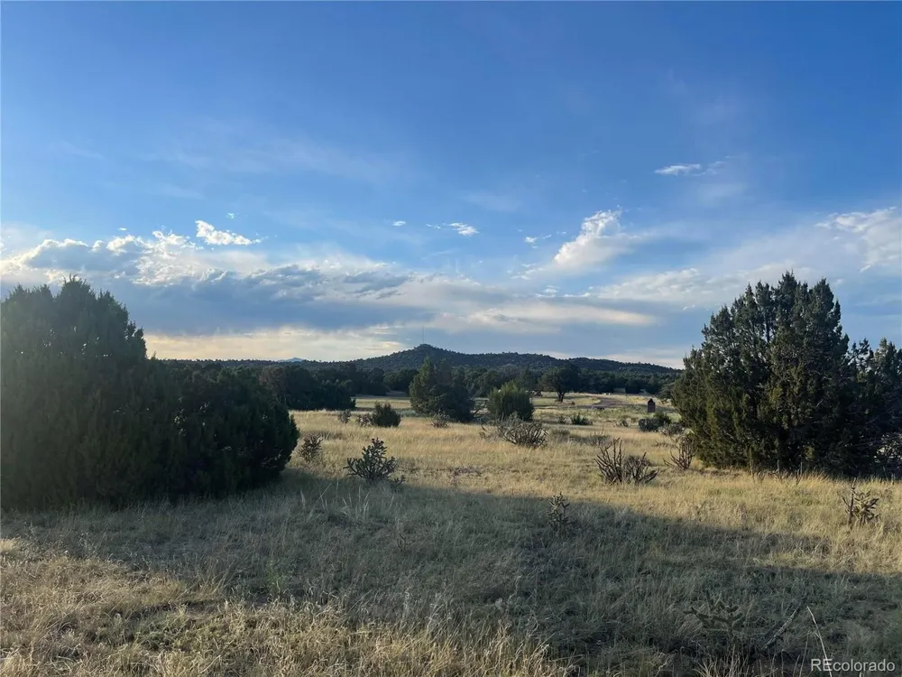 Address Not Shown Walsenburg, CO 81089