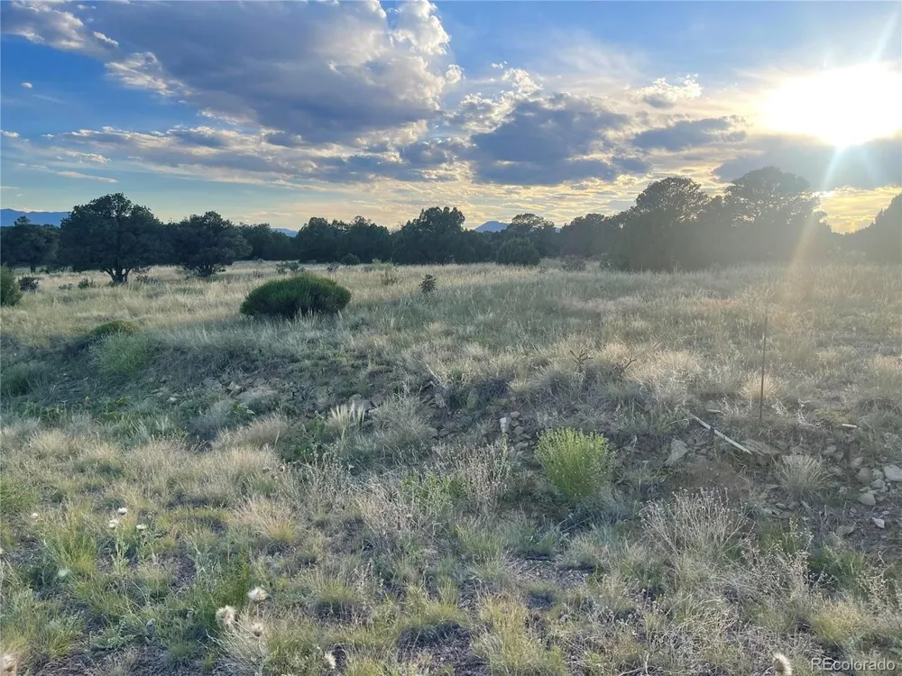 Address Not Shown Walsenburg, CO 81089
