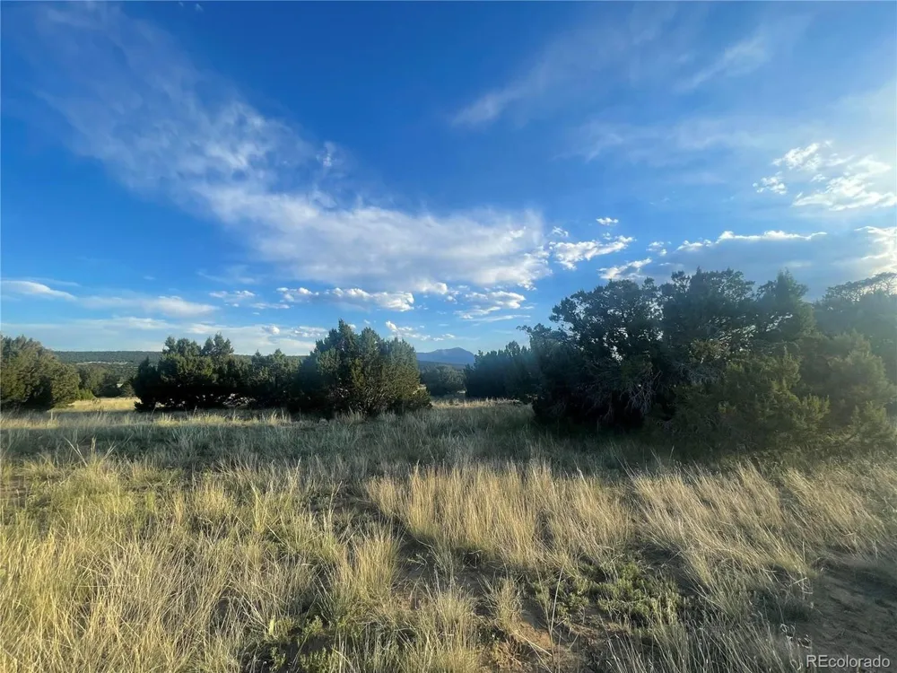 Address Not Shown Walsenburg, CO 81089