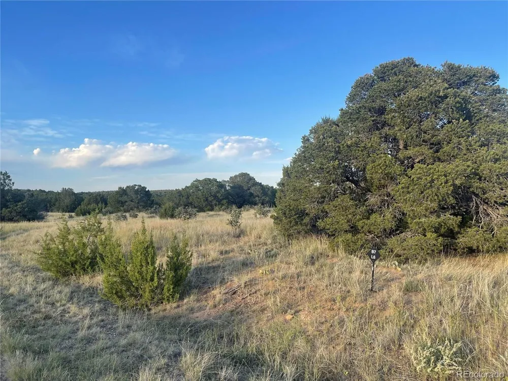 Address Not Shown Walsenburg, CO 81089