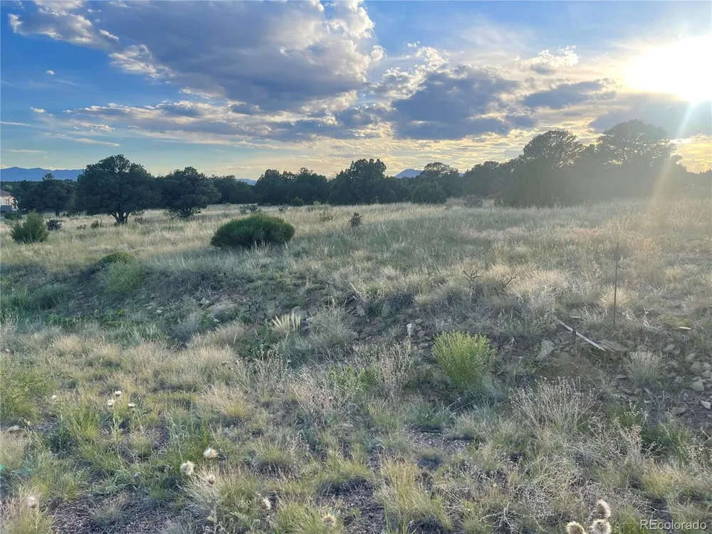 Address Not Shown Walsenburg, CO 81089