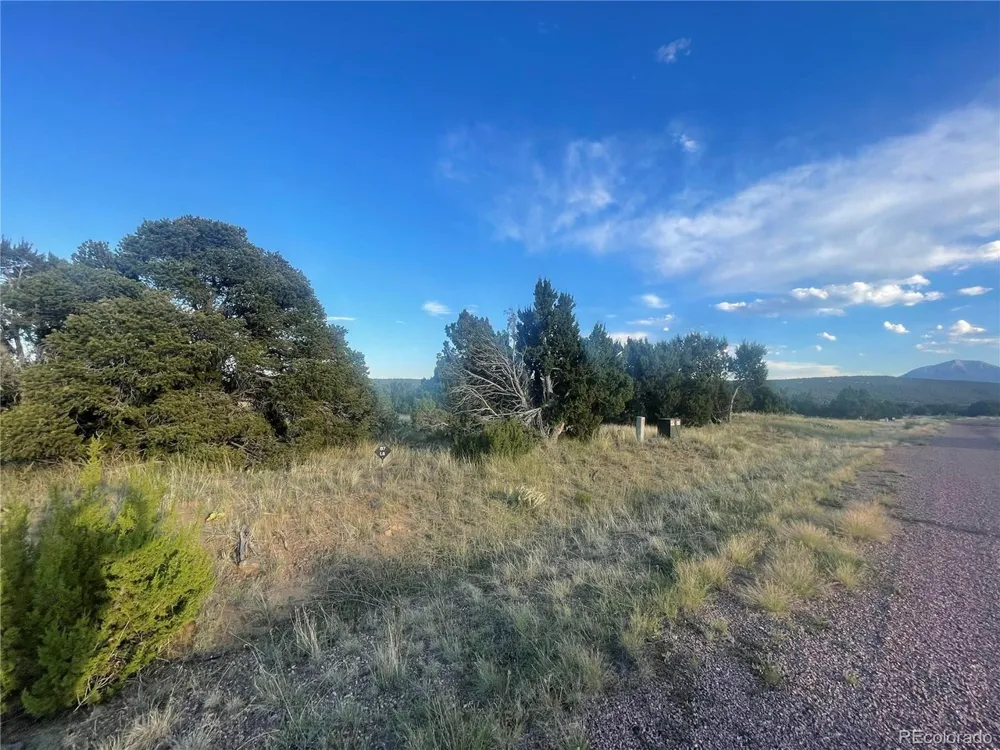 Address Not Shown Walsenburg, CO 81089