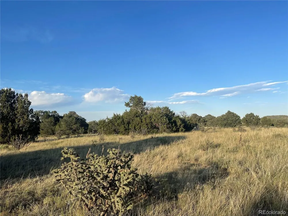 Address Not Shown Walsenburg, CO 81089