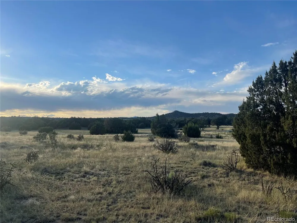 Address Not Shown Walsenburg, CO 81089