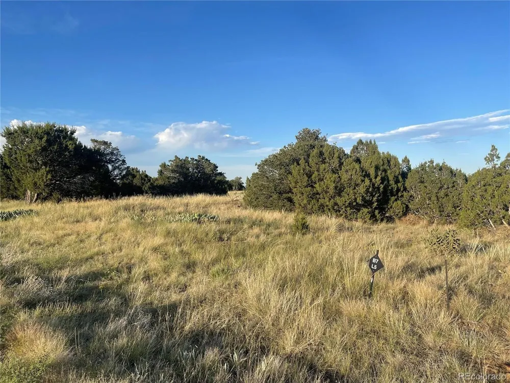 Address Not Shown Walsenburg, CO 81089