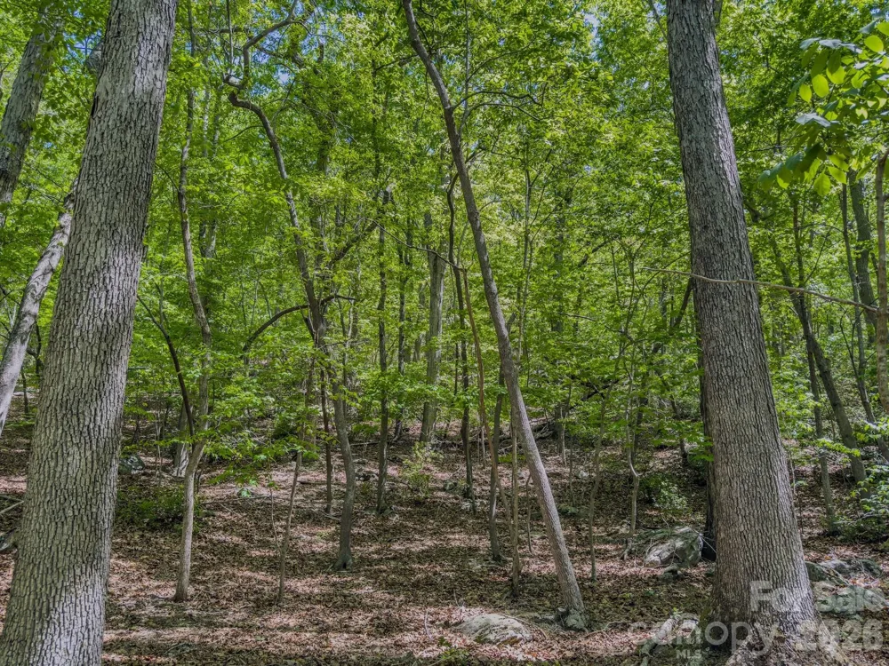 0 Sunset Drive Asheboro, NC 27205