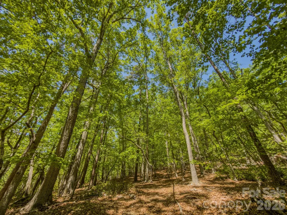 0 Sunset Drive Asheboro, NC 27205